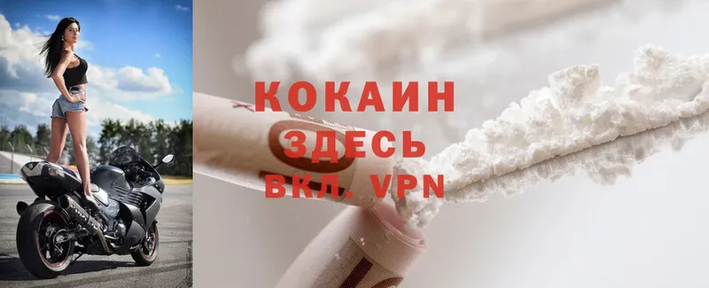 Cocaine FishScale  купить закладку  hydra ссылки  Пыталово 